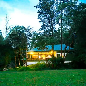 Tusker Forest By Voye Homes Resort