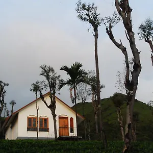 Tea Terrace Vythiri Resort