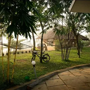 Bhuvi Natural Tea Plantation - Different Activity Packages Available To Make Your A Memorable One Resort