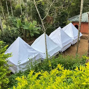 Plantation Tent And Swimming Pool Resort